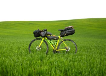 Youthful Eco-Ventures: Innovating for a Greener Future